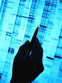 Reading a DNA fingerprint