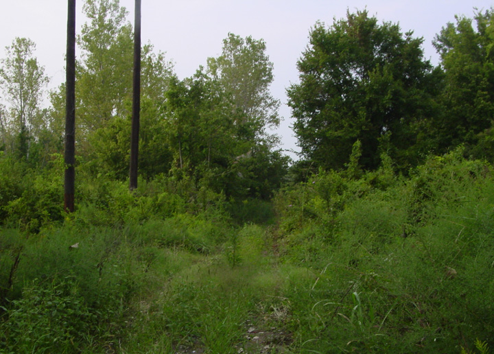 Entering Robin Hood Hills