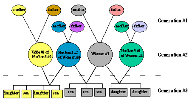 Inheritance of mtDNA